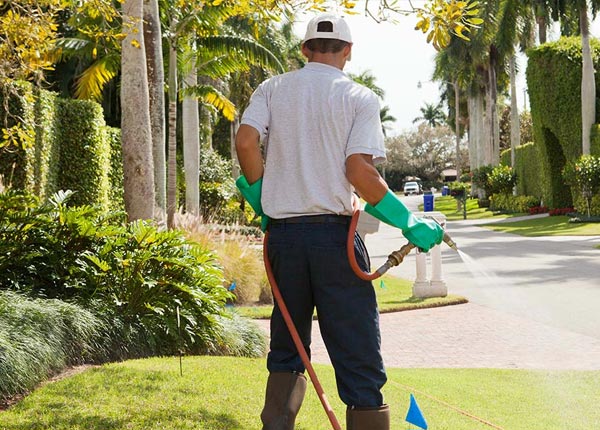About Deer Creek OK Pest Control